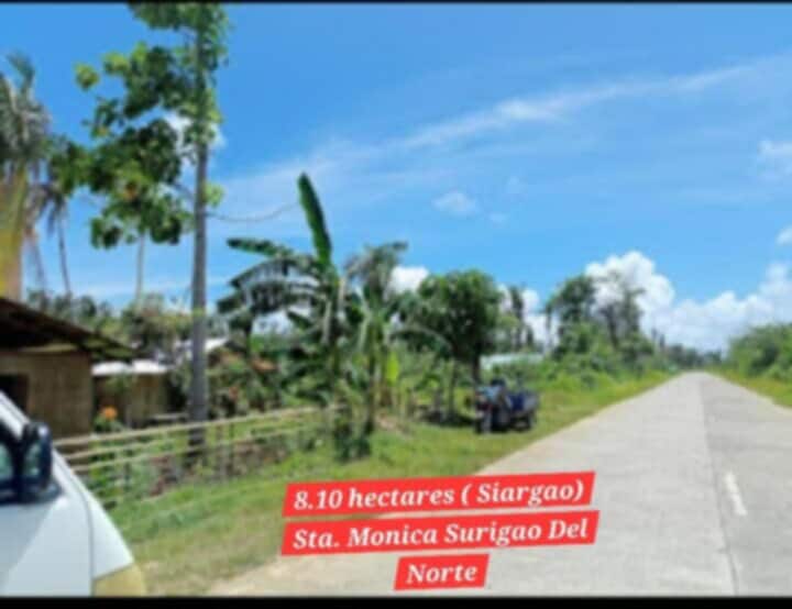 LOT ONLY ISLAND