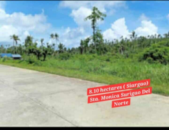 LOT ONLY ISLAND